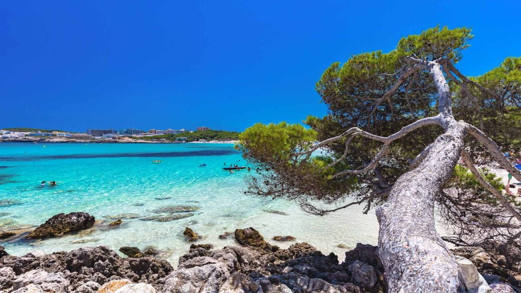 cala-Agulla-playa