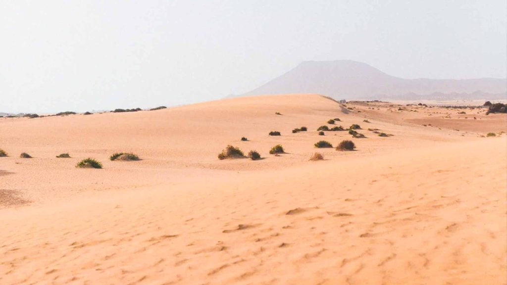 Las Dunas de Corralejo